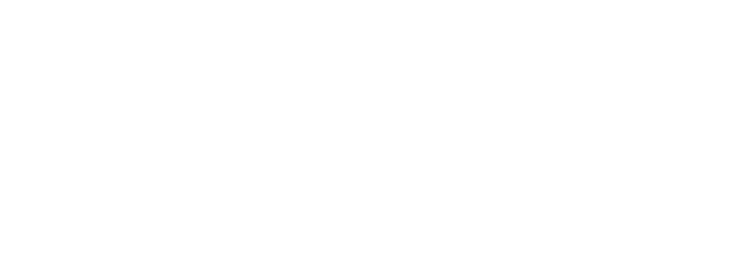 DLF logo